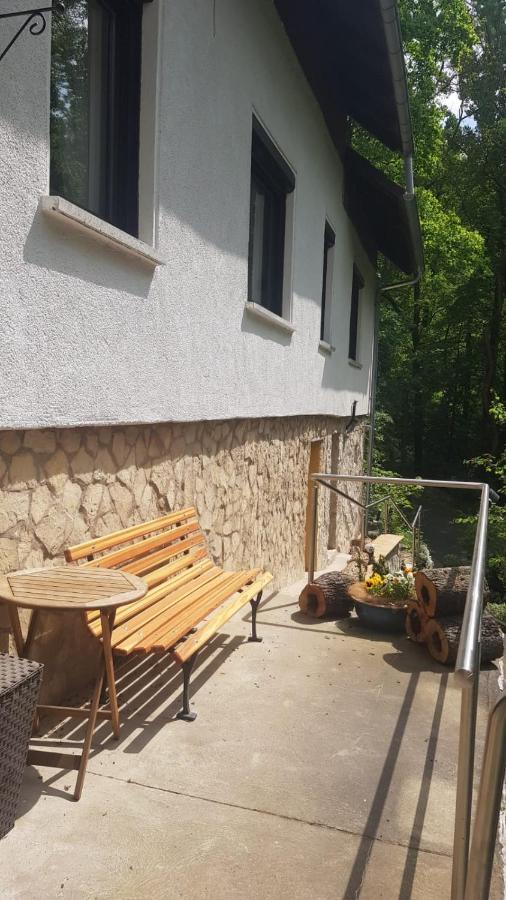 Ferienhaus Mariental Rudolstadt Kültér fotó